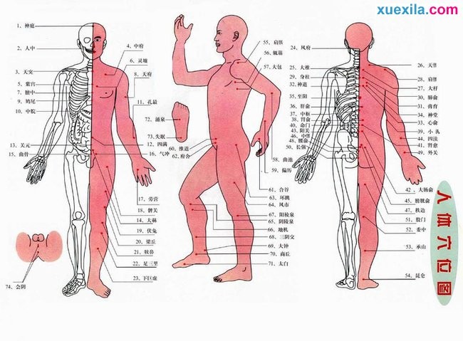 开运手机版2025最新版更新内容概览图