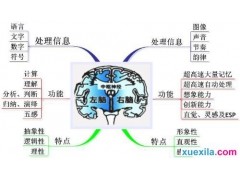 威斯人appV1.1专业版