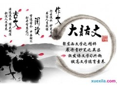 博鱼真人APPV4.9专业版