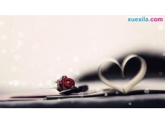 小熊洗车APP