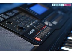 kokplayapp安卓版二维码