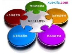 开云官方网页版V1.3专业版