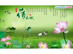 雷火电竞appV3.1专业版