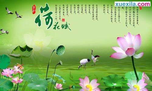 贵州药材APP