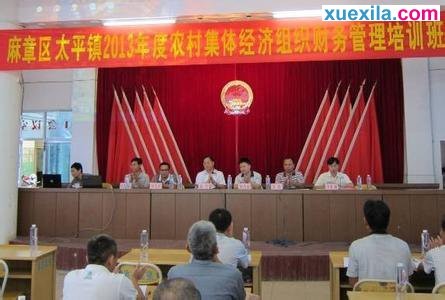 口袋三国志online