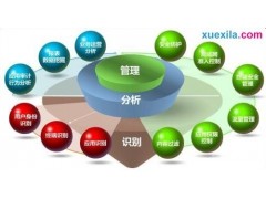 酸奶派对