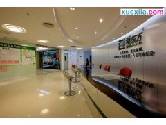 统计图软件(swiffchart)