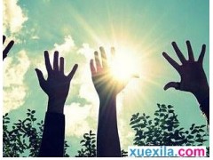 kaiyun.cn登录入口登录app下载安装V6.4专业版