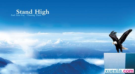 《365游戏娱乐平台app》2025最新版长安城全景图