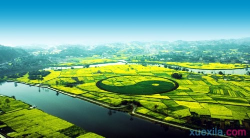 完美WM体育APP2025最新版战场全景截图