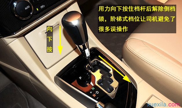 希尔体育app 2025最新版虚拟竞技场场景