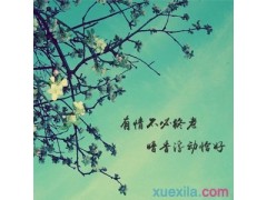植物大战僵尸邻里之战2025版6v6团队对战画面