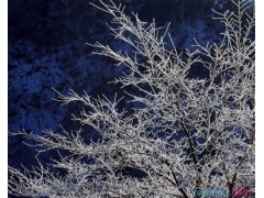 《开云在线登陆入口》2025最新版新增区域场景