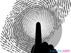 真银河休闲娱乐注册V2.8专业版