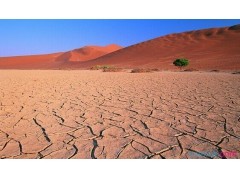 kaiyun体育app网页版登录方式2025版灵域生态展示