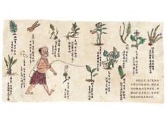 博一博app2025最新版游戏主界面截图