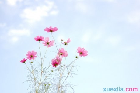 小熊洗车APP