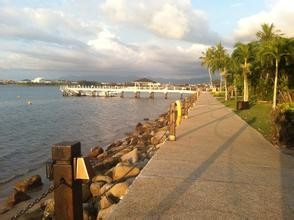 旺彩appV3.5专业版