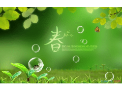小熊洗车APP