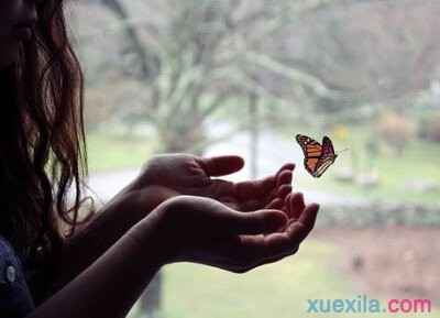 云顶集团官网登录V6.9专业版