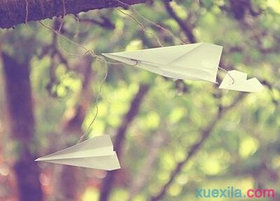 彩38appV6.6专业版