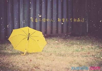 天下彩票appV9.3专业版