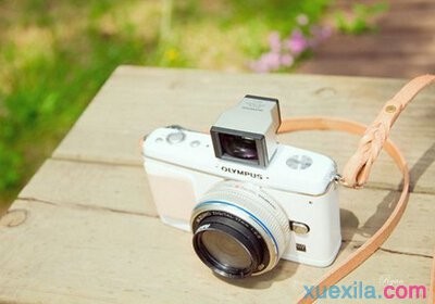 《365游戏娱乐平台app》2025最新版跨服战场画面