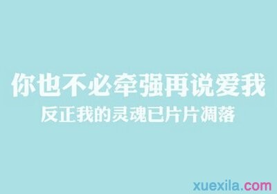 云开体育app官网入口登录手机版V1.1专业版