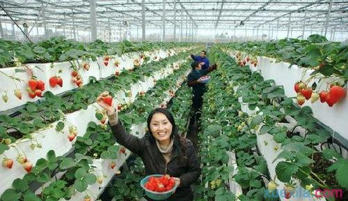 文鼎魏碑繁字体