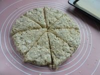 欧赔亚盘app安卓版二维码