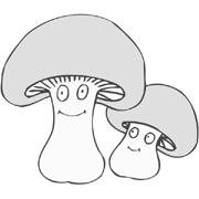 彩神x网页版V5.7专业版