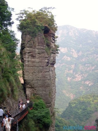 乐鱼体育官方入口2025版噗噗大陆场景