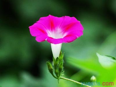 河南汽车维修平台APP