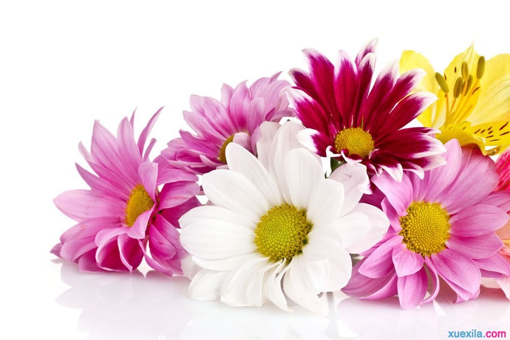 BAT365亚洲APP安卓版二维码