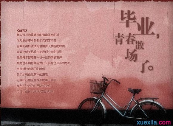 太阳诚app