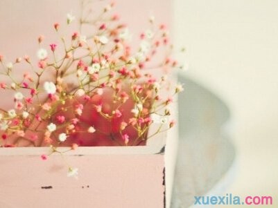 河南汽车维修平台APP