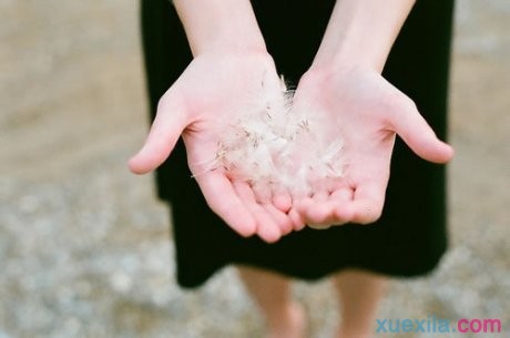 开云在线官方网站2025最新版蛮荒世界场景