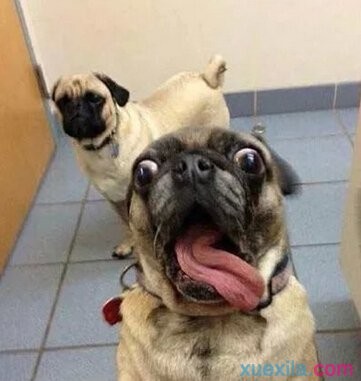 人人桌面客户端for mac(即时通讯)