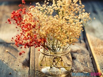 ag亚游登录安卓版二维码