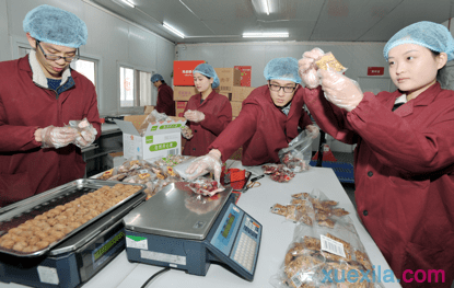 失落灵魂:被施咒的画