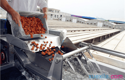 《蜀山：初章》2025版洞天福地家园系统界面