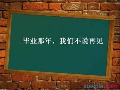小熊洗车APP