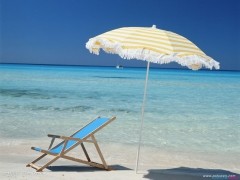 真人appV2.7专业版