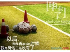 eman安卓版