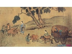 开云app入口appV5.1专业版
