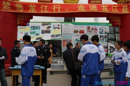 希尔体育app 2025版新增角色与地图展示