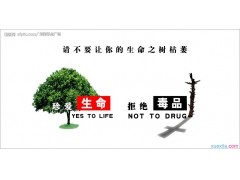 卡丁车计划