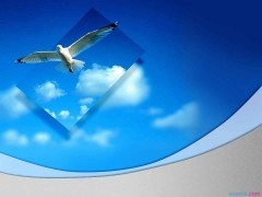 快体育官方入口安卓版二维码