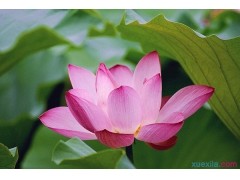 2016搜狗输入法老版本