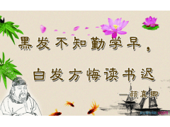 钢笔硬笔书法名家字体